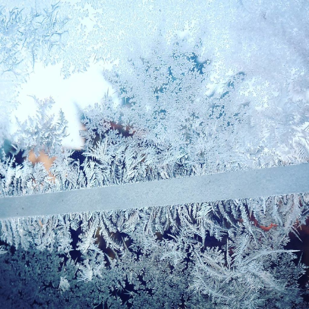 Pretty cold today. ❄

Wird Zeit, dass ich mir endlich einen Wintermantel kaufe... #photos #photography #urban #ice #snow #winter #eisblumen #kristall #cold #coldoutside #iceicebaby #frozen #gefroren #eiskristalle #radebeul #dresden #dresdenstagram