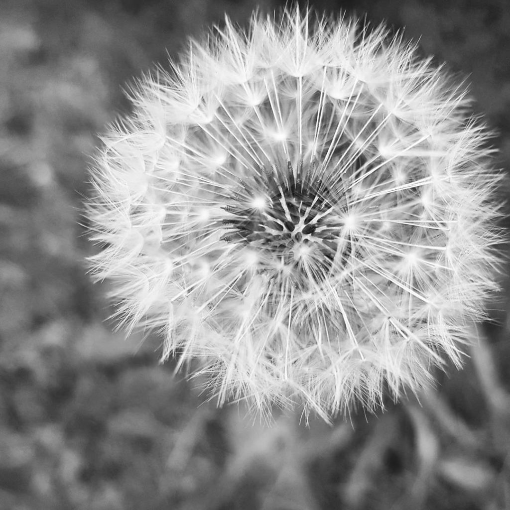 Some days feel strange. The best thing in such moments is... blowing the dark thoughts away.