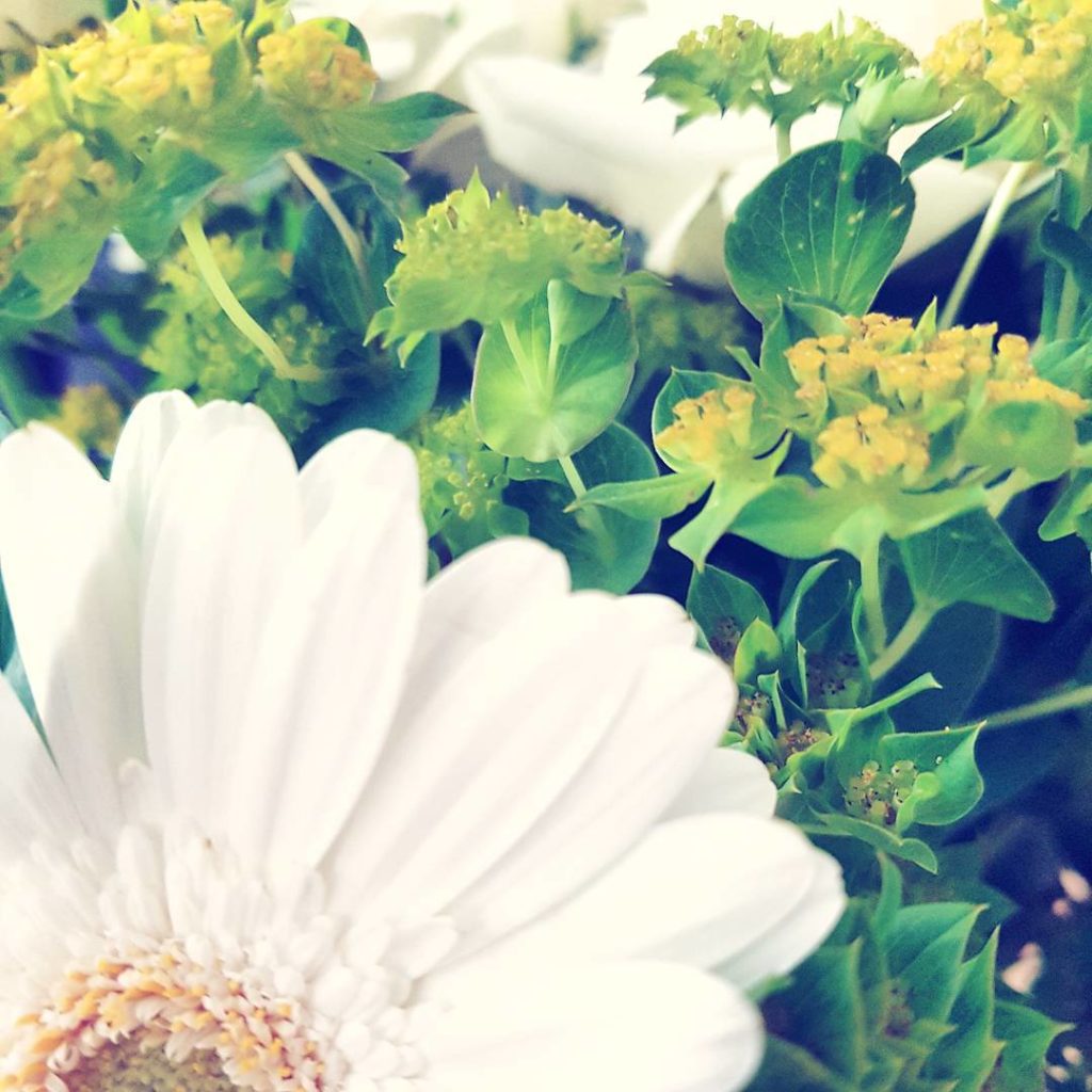 Here. Have some flowers, so the monday will be tame and kind. 

#monday #mondaymotivation #flower #flowerpower #montagstillleben #blumenfürsherz #photo #greenery