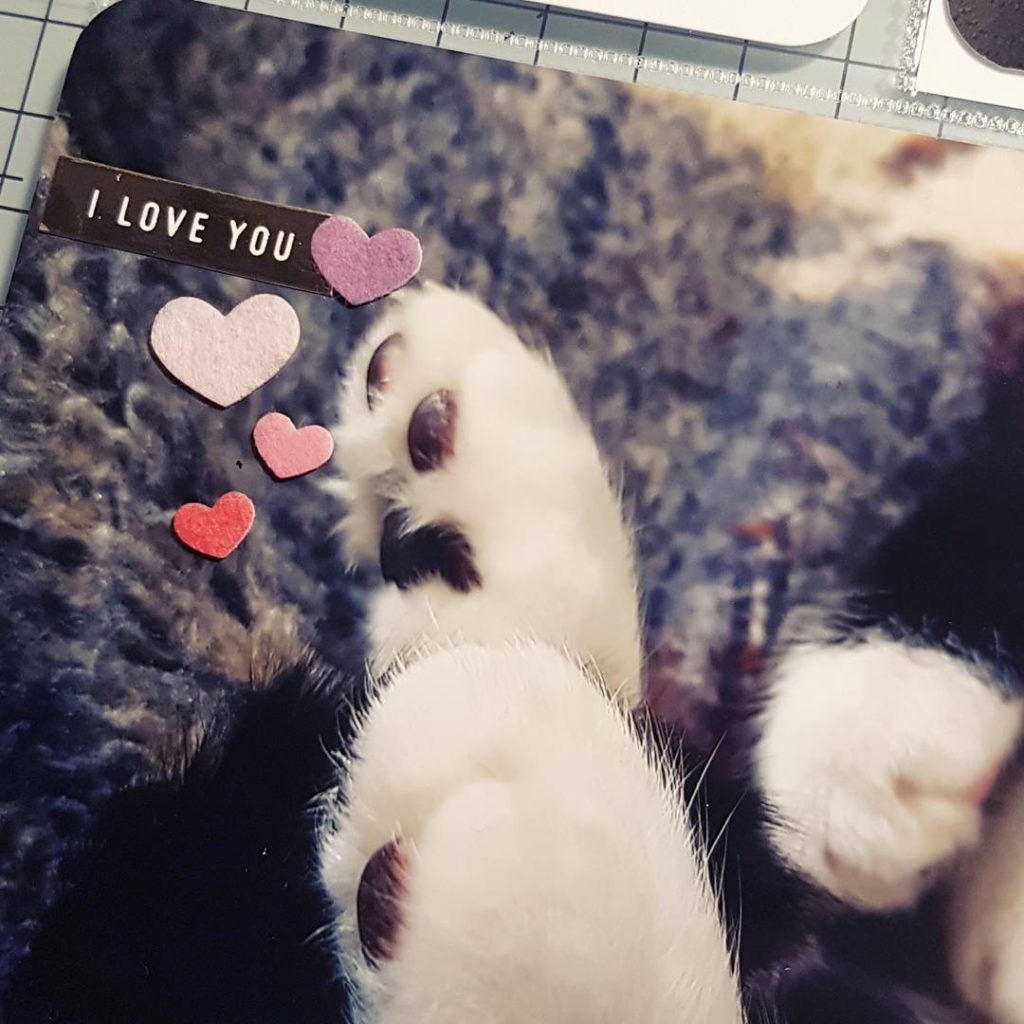 That escalated quickly. ❤ #scrapbook #scapbooking #projectlife2017 #projectlife #memorykeeping #diy #crafting #paper #paperlove #tinywordsticker #catcontent #caturday #tinyheartsticker