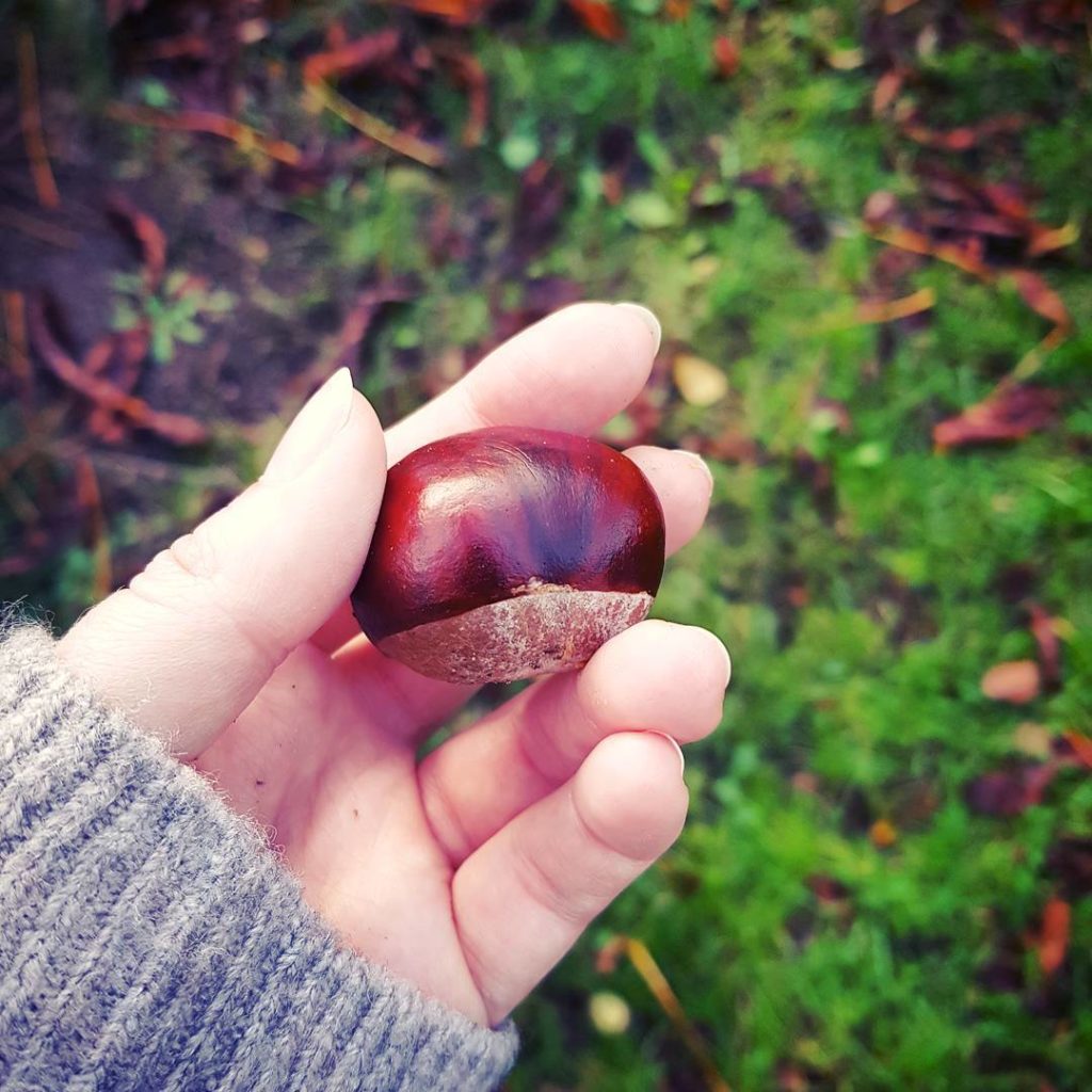 Hello fall.  #herbst #autumn #hellofall #goldeneroktober #kastanien #kastaniensammeln #goldenerherbst #laub #fallenleaves #musthave #kindheitserinnerungen #childhoodmemories
