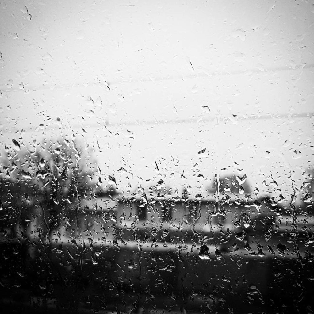 It's rainy and cold outside. Feels like monday... ⛆ #dresdeninstagram #dresden #onmywaytowork #mondayssuck #monday #weather #rain #raindrops #trainpicture #regenwetter #nasskaltbäh #hungermüdepipikalt #woistmeinkaffee #november